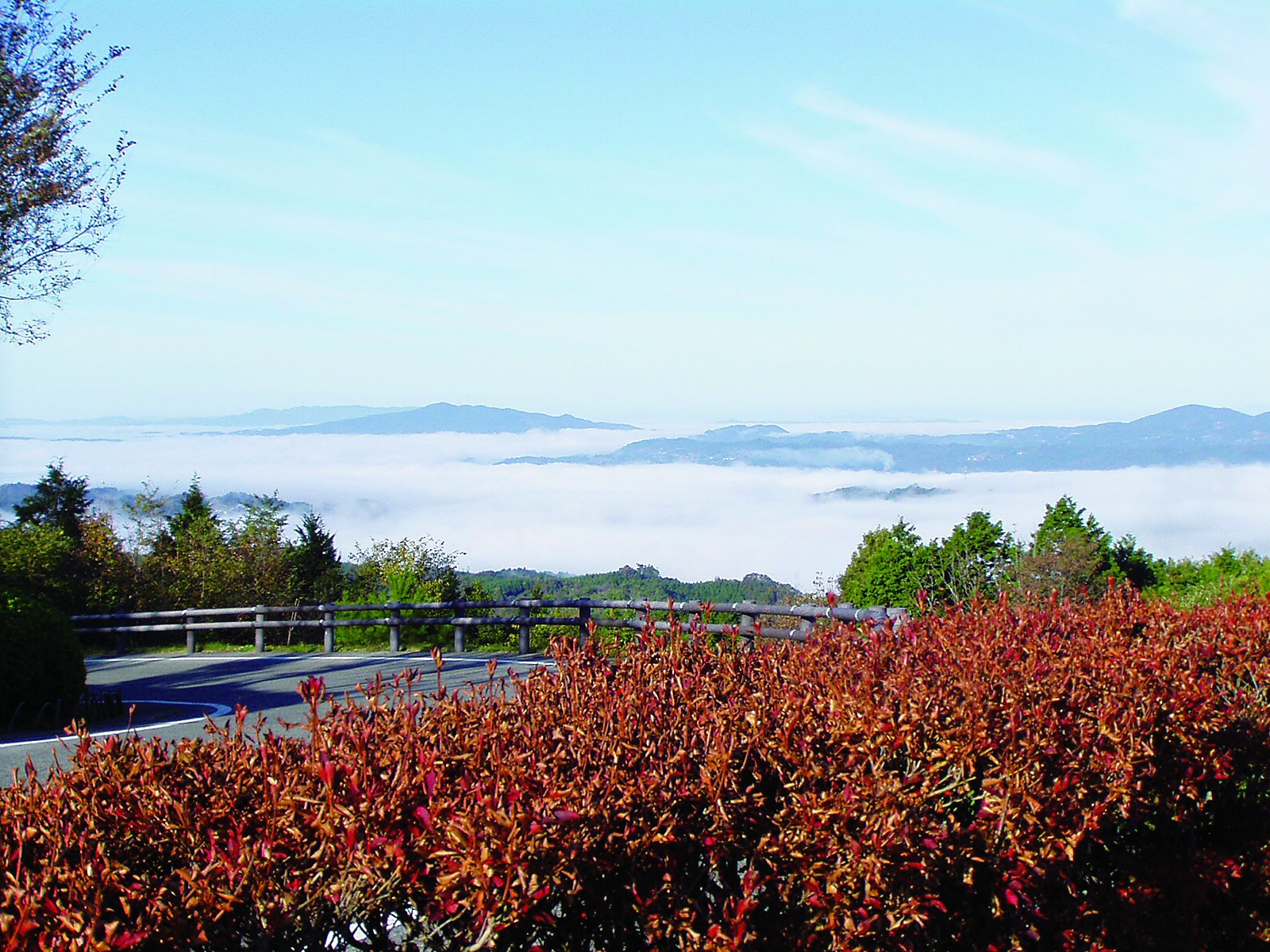 闇窯過去画像　ドルフィンライブ  