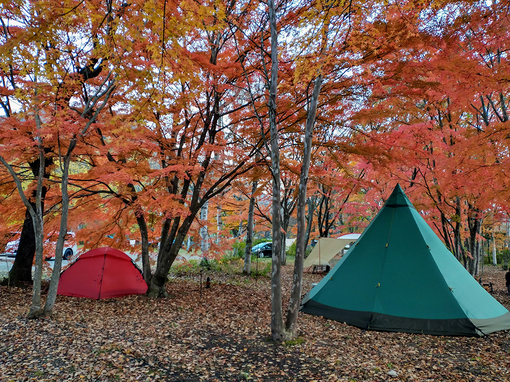   【紅葉狩りシーズン】薪の使い放題プランも！赤谷湖を望む自然豊かなキャンプ場「ちばむらオートキャンパーズリゾート」＠群馬県