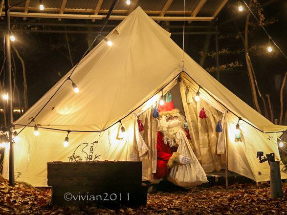   【クリスマスキャンプ】クリスマスに絶対に行くべきキャンプ場3選