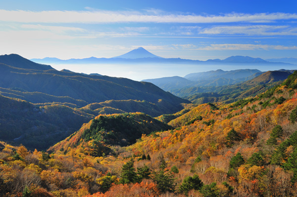   編集部おすすめ5選！秋キャンプの紅葉ドライブルートが綺麗すぎた…！