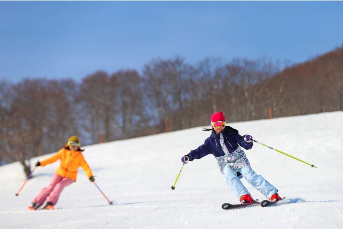   長野県北部の23か所のスキー場が楽しめる！「NAGANO6 Powder Dream Pass」が発売