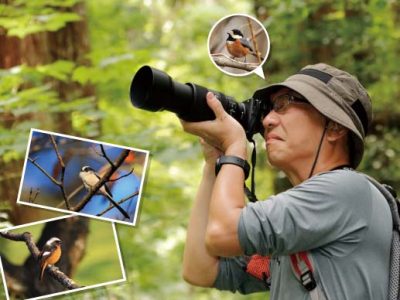   カメラのサブスクを使って憧れの野鳥撮影に挑戦！
