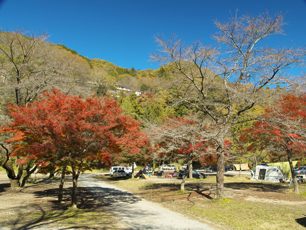   冬キャンプにおすすめ【12~3月に一度は行くべき青根キャンプ場＠神奈川県】