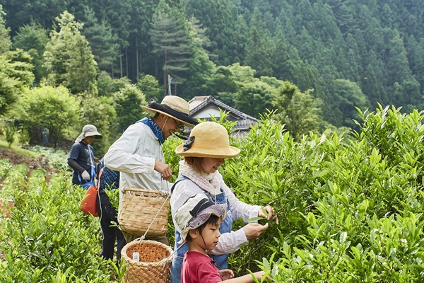   【絶対行って】カヤックや茶摘を都内で！見どころ満載の春イベントが開催決定！