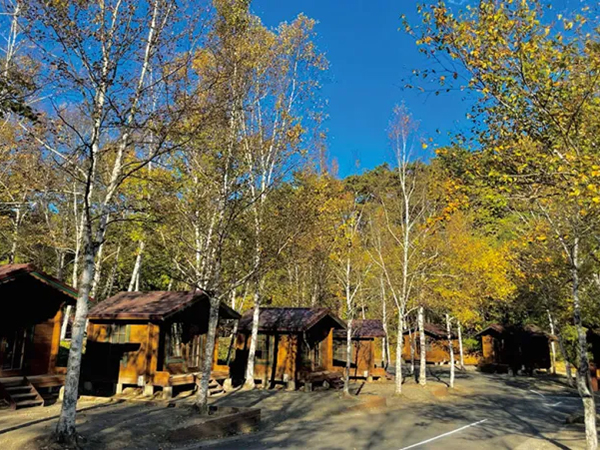 初心者におすすめ!デイキャンプを楽しめるキャンプ場17選【山梨県】