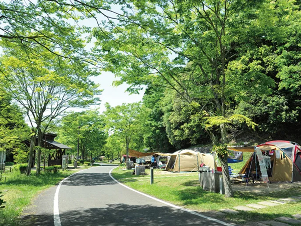 天然温泉に入れる!キャンプで絶対に行きたいキャンプ場【徳島県・香川県・愛媛県】